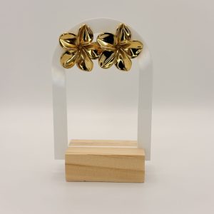 Boucles d'oreilles Hawaï